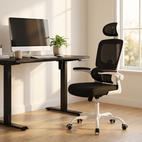 Relève Assise Pro devant un bureau assis-debout